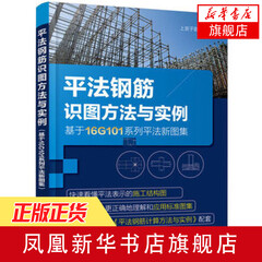 平法钢筋识图方法与实例-基于16G101系列平法新图集 确保和提高工程建设质量