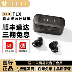 FIIL 斐耳 T1XS TWS真无线蓝牙耳机 迷你入耳式双耳通话耳塞苹果安卓通用 T1X(曜石黑)
