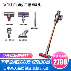 戴森Dyson V8 V10 V11 Absolute/Fluffy 家用手持强效无线吸尘器除螨仪 V10 Fluffy 日版 5配件【经典款】 支持220V电压