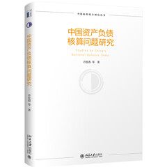 中国资产负债核算问题研究