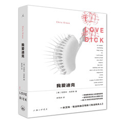 我爱迪克