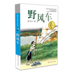 曹文轩纯美小说:野风车