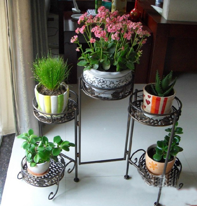 适合室内种植的花草 创意摆放于家用置物架