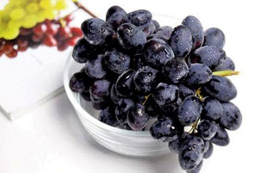 黑加仑和黑葡萄的区别 7点帮你鉴别黑加仑和黑葡萄
