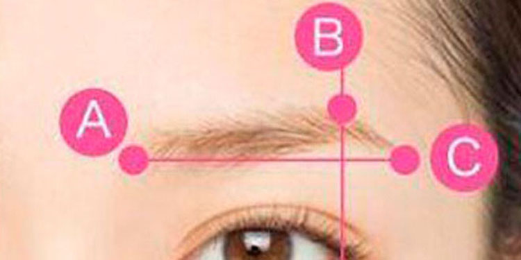 新手画眉素描图片展示