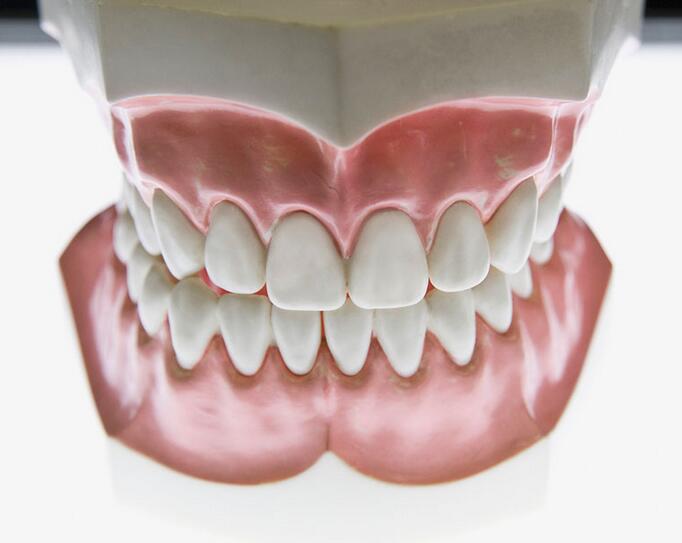 人有多少颗牙齿人的牙齿有多少颗_正常人有多少颗牙齿