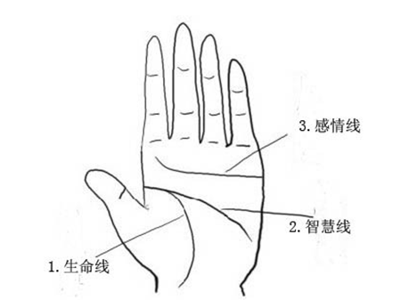 智慧线和生命线连在一起智慧线和生命线相交_生命线和