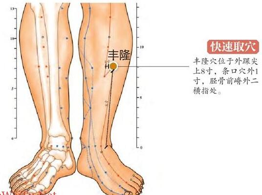 丰隆的准确位置图和作用