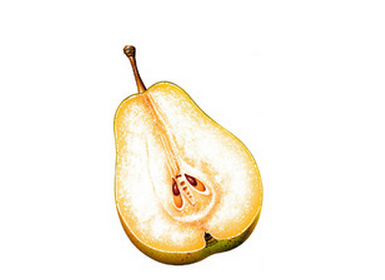 梨核如同桃核,杏核,枣核等果核一样有营养成分密集的种子,富含 蛋白质