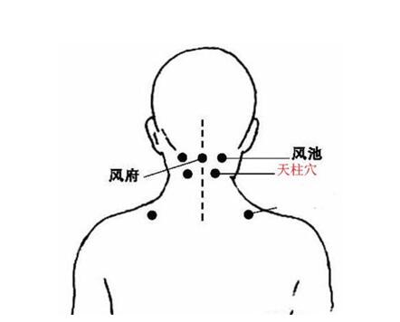 3,目眩,目不明,目如脱:天柱,陶道(督脉).