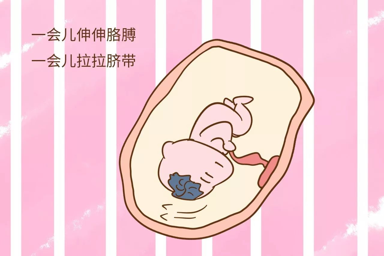 你知道宝宝在妈妈肚子里的时候,各个阶段的样子吗?