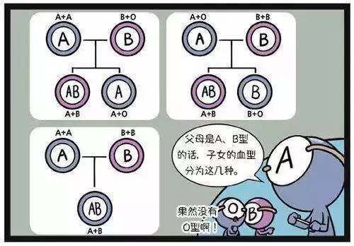 宝宝的血型遗传谁的?血型的秘密