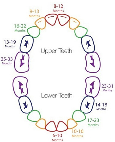 出牙出牙顺序图_出牙期症状