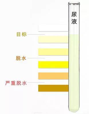 科学水 科学水