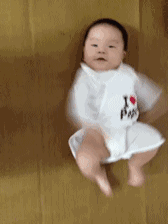 引导 引导