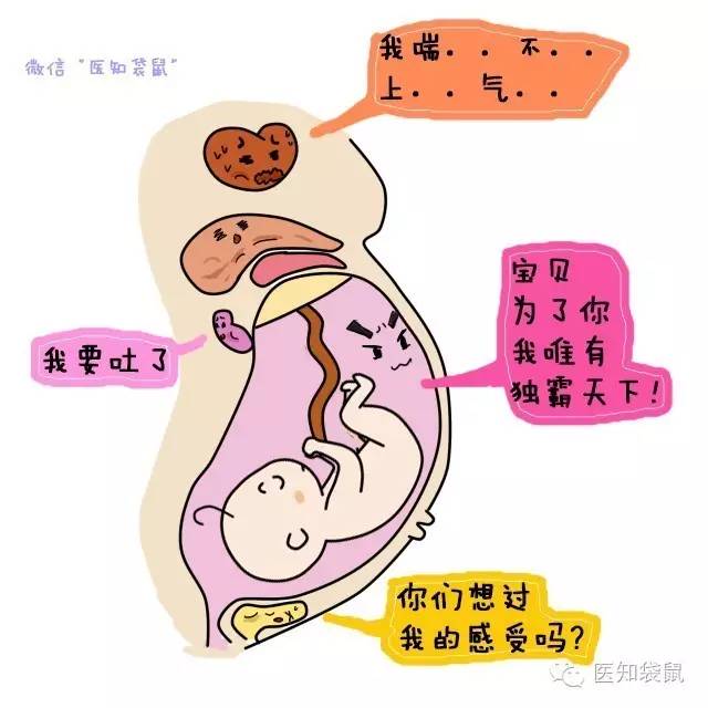 胎儿入盆就是要生了?5大征兆告诉你:胎儿入盆是什么感觉- 京东