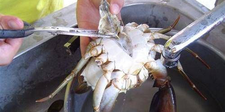怎么洗螃蟹图解 最干净的清洗方式教给你