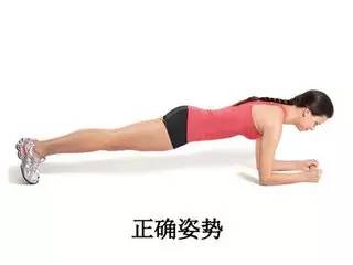 step2:肚子使力,全身向上抬高,脚跟往地板的反向持续延伸,后背到腰部