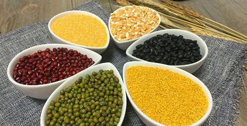 植物蛋白与动物蛋白的区别植物蛋白高的食物-