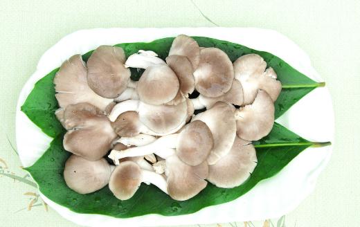 袖珍菇的功效袖珍菇的做法- 京东