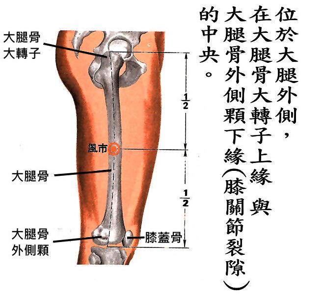 风市的准确位置图