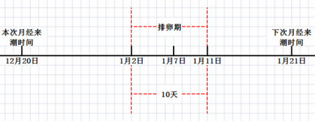 排卵日 排卵日