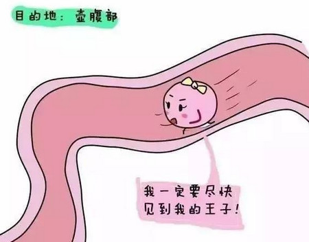 动漫卡通头像v头像素材矢量图漫画石头450_352幼儿园美术教案《绘制矢量》图片