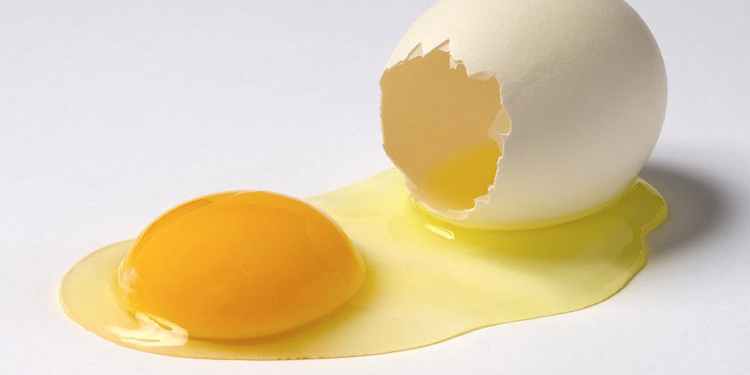 减肥吃蛋清还是蛋黄 蛋白热量低于蛋清