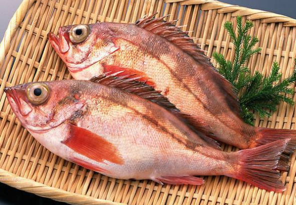 红鲷鱼多少钱一斤2018 价格不太贵适合一般家庭食用