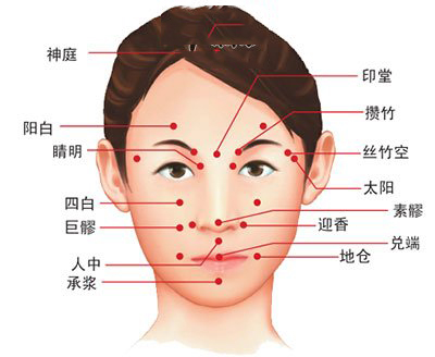 面部穴位面部穴位图