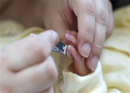 产后怎么给宝宝剪指甲怎么给新生儿剪指甲_给宝宝剪指甲要注意什么