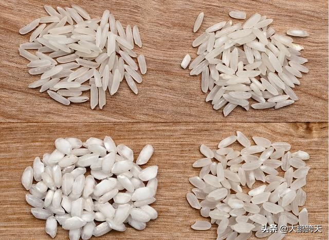 泰国米是什么米(泰国大米出口)
