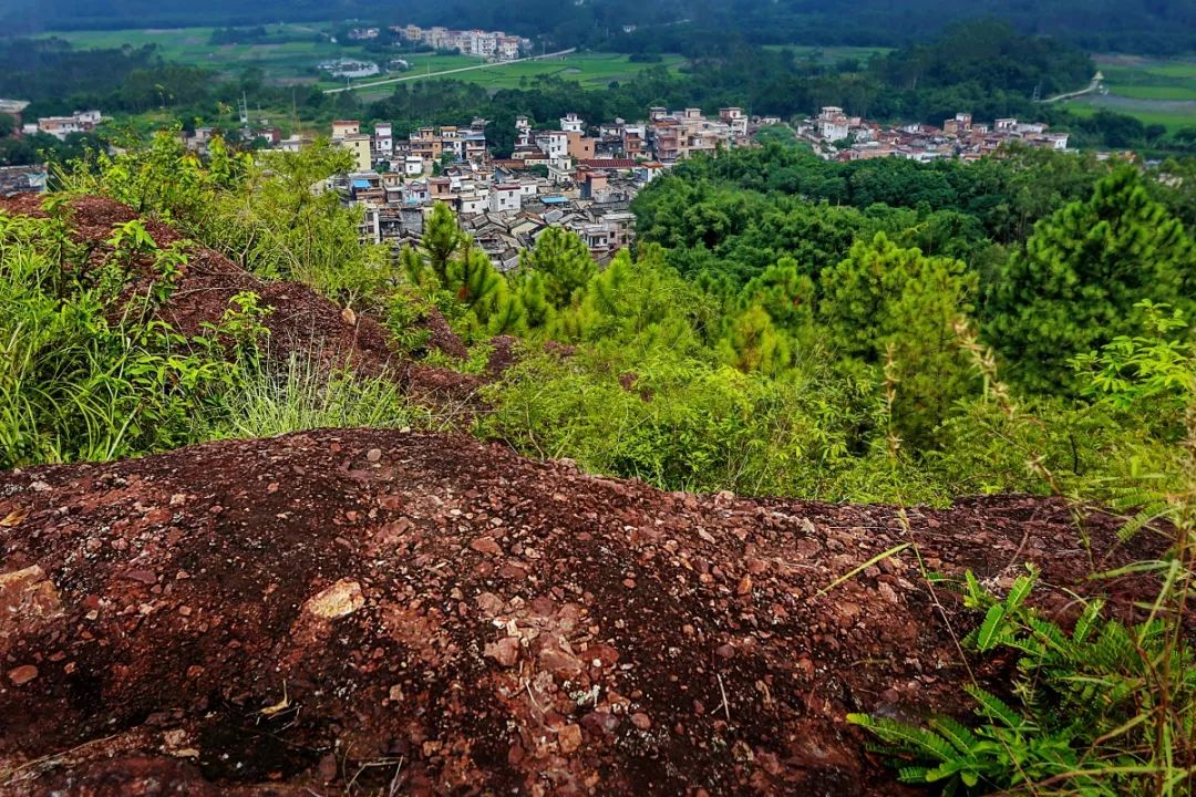 廣東鶴山宅梧鎮風水寶地廣州龍脈風水寶地