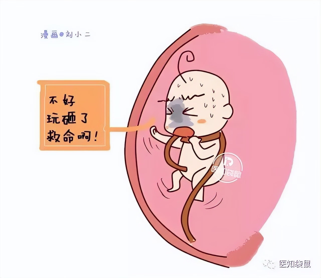 怀孕5个月胎儿图片(五个月胎儿图片 有多大)