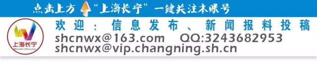 海贝幼儿园(上海海贝幼儿园怎么样)