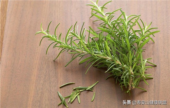 迷迭香精油的功效与作用及使用方法