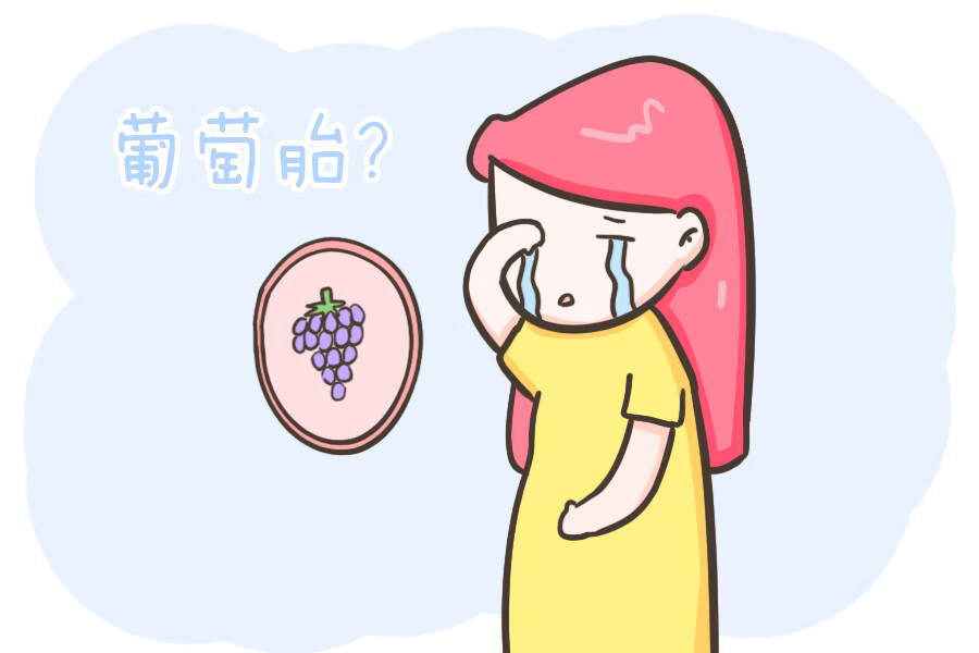 怀孕能吃葡萄吗?(孕妇吃葡萄可以吗)