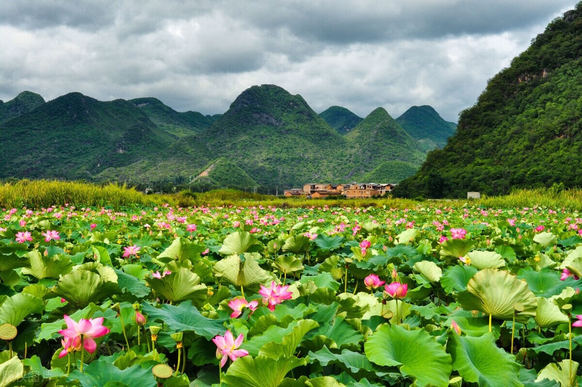 学生旅游推荐(学生暑假旅游推荐)