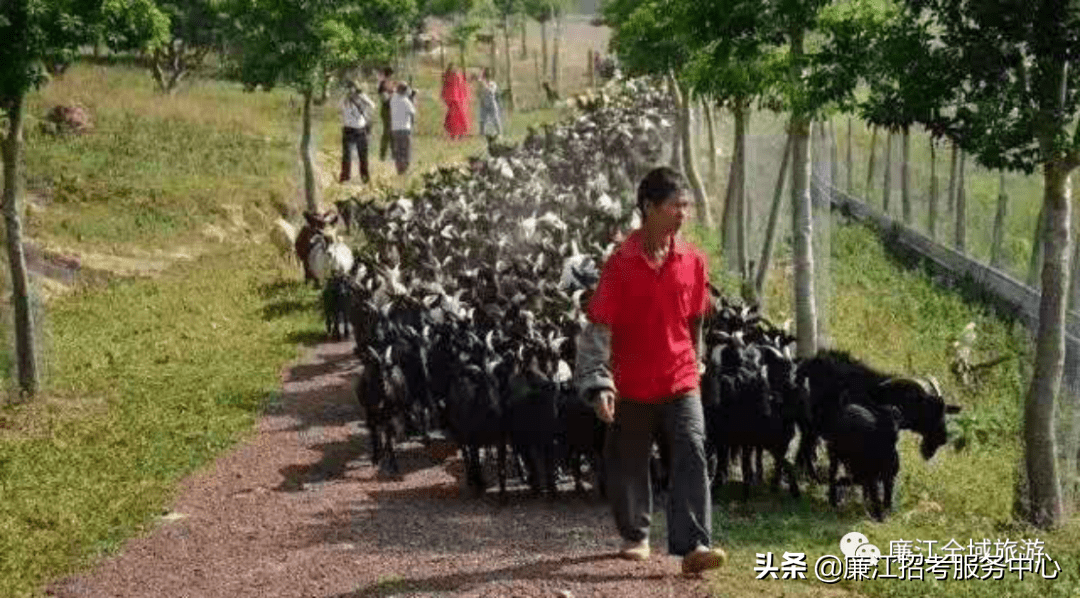 廉江市风水宝地(廉江附近的风水宝地)