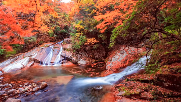 11月份去哪里旅游好玩(11月出游有哪些好地方)