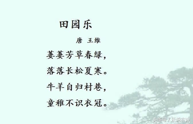 萋萋芳草的意思是什么(芳草萋萋释义)