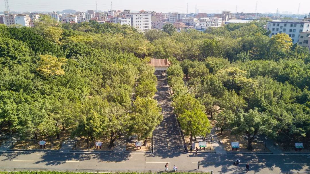 旧水坑森林公园在哪里(番禺旧水坑公园)