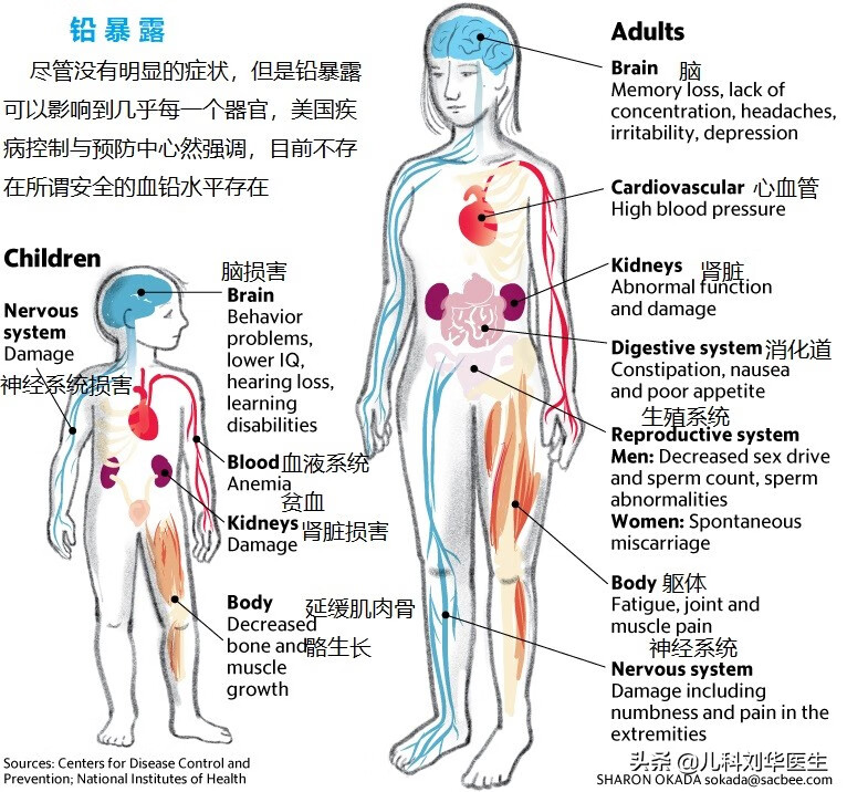 铅超标的症状有哪些(铅超标有什么症状和危害)