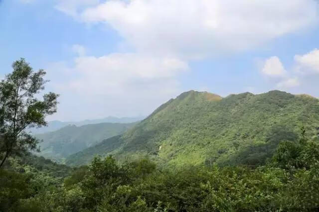 阳江风水最好的地方(阳江风水)