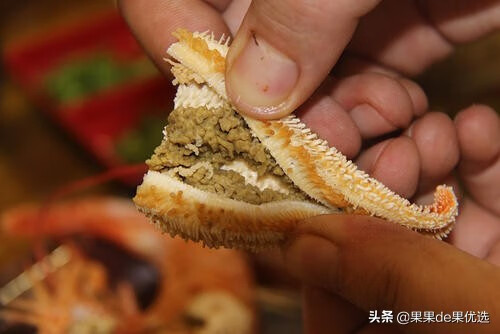 干海星怎么做好吃(干海星怎么吃 干海星要如何煲汤)