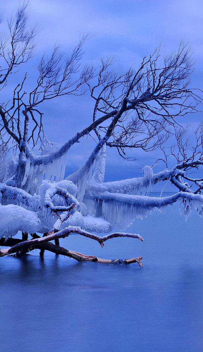 写写雪的古诗(写雪的古诗名句)