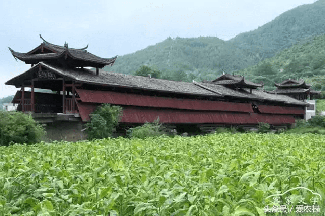 农村风水神桥(农村的桥对风水的影响)