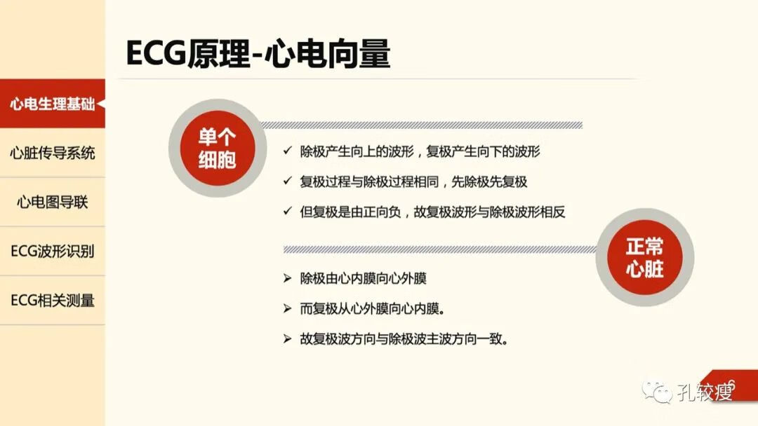 心电图导联位置示意图(心电图机导联位置图)