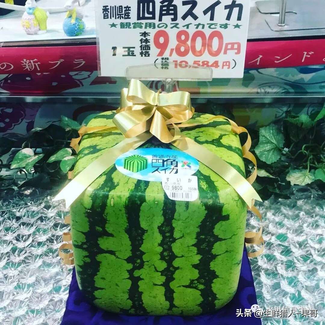 果(果蓏)