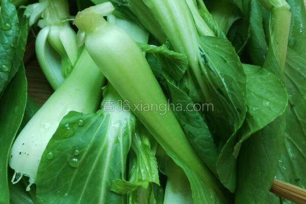 青菜鸡蛋面的做法(青菜鸡蛋面怎么煮好吃又简单)